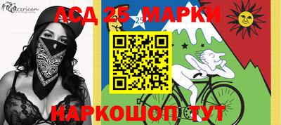 крисы Пенза