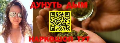 крисы Пенза