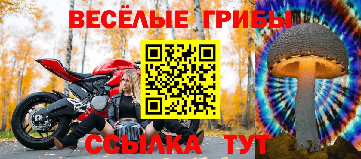 Строитель  Галлюциногенные грибы мицелий  Псилоцибиновые грибы мицелий  Вход с VPN 