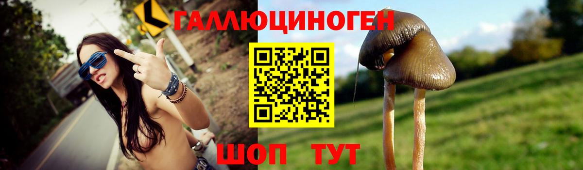 Псилоцибиновые грибы ЛСД Строитель